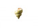 Conch Shell (254|CER-3700-SEAK)