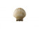 ADA Scallop Shell (254|CER-3730-SEAS)