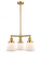 Cone - 3 Light - 19 inch - Satin Gold - Stem Hung - Chandelier (3442|207-SG-G61)