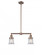 Canton - 2 Light - 21 inch - Antique Copper - Stem Hung - Adjustable Island Light (3442|209-AC-G182S)