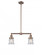 Canton - 2 Light - 21 inch - Antique Copper - Stem Hung - Island Light (3442|209-AC-G184S)