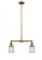 Canton - 2 Light - 21 inch - Brushed Brass - Stem Hung - Adjustable Island Light (3442|209-BB-G184S-LED)