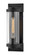 Medium Wall Mount Lantern (87|29060TK)