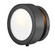 Small Adjustable Single Light Sconce (87|3650BK)