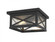 2 Light Outdoor Flush Mount (276|583F-BK)