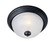 Essentials - 584x-Flush Mount (19|5841FTBK)