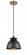 Adirondack - 1 Light - 8 inch - Brushed Brass - Cord hung - Mini Pendant (3442|516-1P-BB-M14-BK)