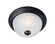 Essentials - 584x-Flush Mount (19|5840FTBK)