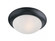 Essentials - 585x-Flush Mount (19|5851FTBK)