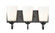 Ivey Lake 3-Light Vanity Matte Black (670|9813-MB)