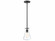 1-Light Pendant in Matte Black (8483|M70063MBK)