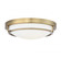 Flush Mount (8483|M60019NB)