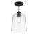 1-Light Ceiling Light in Matte Black (8483|M60010MBK)