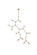 Cavoli 11 lights brass chandelier (758|1712G73BR)