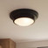 2-Light Ceiling Light in Matte Black (8483|M60063MBK)