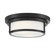 2-Light Ceiling Light in Matte Black (8483|M60062MBK)