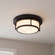 2-Light Ceiling Light in Matte Black (8483|M60062MBK)
