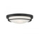 2-Light Ceiling Light in Matte Black (8483|M60019MBK)
