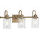 Aiken Collection Three-Light Clear Glass Vintage Style Brass Farmhouse Style Bath Vanity Wall Light (149|P300322-163)