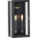 Stature Collection Two-Light Oil Rubbed Bronze and Clear Glass Transitional Style Medium Outdoor Wal (149|P560268-108)