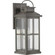 Williamston Collection One-Light Antique Pewter and Clear Glass Transitional Style Large Outdoor Wal (149|P560266-103)