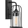 Watch Hill Collection One-Light Textured Black and Clear Seeded Glass Farmhouse Style Small Outdoor (149|P560255-031)