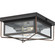 P550069-020 2-60W MED FLUSH MOUNT (149|P550069-020)