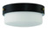 Oak Street 2 Light 13'' Flushmount in Flat Black (20|X3214-FB)