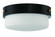 Oak Street 2 Light 13'' Flushmount in Flat Black (20|X3214-FB)