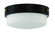 Oak Street 2 Light 12'' Flushmount in Flat Black (20|X3212-FB)