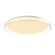 Hampton 21-in Clear LED Flush Mount (461|FM43121-CL)