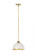 1 Light Pendant (276|1004P10-MW-RB)