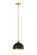 1 Light Pendant (276|1004P10-MB-RB)
