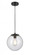 Tolland - 1 Light - 10 inch - Matte Black - Cord hung - Mini Pendant (3442|610-BK-SDY)