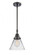 Cone - 1 Light - 8 inch - Matte Black - Mini Pendant (3442|447-1S-BK-G42-LED)