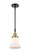 Bellmont - 1 Light - 7 inch - Black Antique Brass - Mini Pendant (3442|447-1S-BAB-G191)