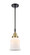 Canton - 1 Light - 7 inch - Black Antique Brass - Mini Pendant (3442|447-1S-BAB-G181-LED)