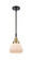 Fulton - 1 Light - 7 inch - Black Antique Brass - Mini Pendant (3442|447-1S-BAB-G171)