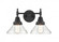 Caden - 2 Light - 17 inch - Matte Black - Bath Vanity Light (3442|447-2W-BK-G4472)