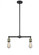 Bare Bulb - 2 Light - 20 inch - Black Antique Brass - Stem Hung - Island Light (3442|209-BAB)