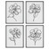 Uttermost Bloom Black White Framed Prints, S/4 (85|41430)