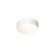 10'' LED Surface Mount (107|3734.03)