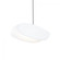LED Pendant (107|2901.25-DW)
