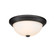 2-Light Flushmount Ceiling Light Matte Black (670|4903-MB)