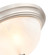 2-Light Flushmount Ceiling Light Satin Nickel (670|4601-SN)