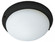 Fan Light Kits-Ceiling Fan Light Kit (19|FKT206BK)