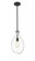 Norwalk - 1 Light - 9 inch - Matte Black - Stem hung - Mini Pendant (3442|493-1S-BK-G552-9)