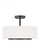 Two Light Semi-Flush Convertible Pendant (38|7728002EN3-710)