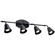 Rail Light 4Lt (10687|52129BK)