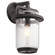 Outdoor Wall 1Lt (10687|49866WZC)